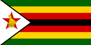 Flag 8